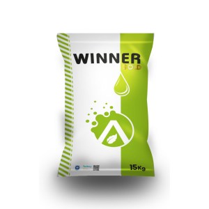 Winner Gold kopya